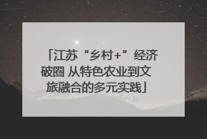 江苏“乡村+”经济破圈 从特色农业到文旅融合的多元实践